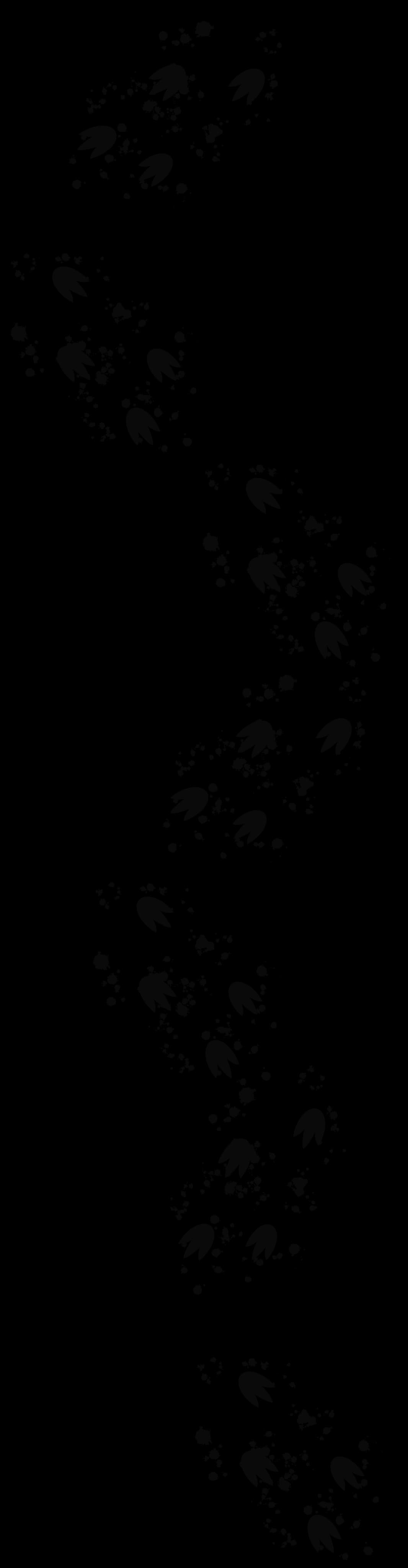 staff background